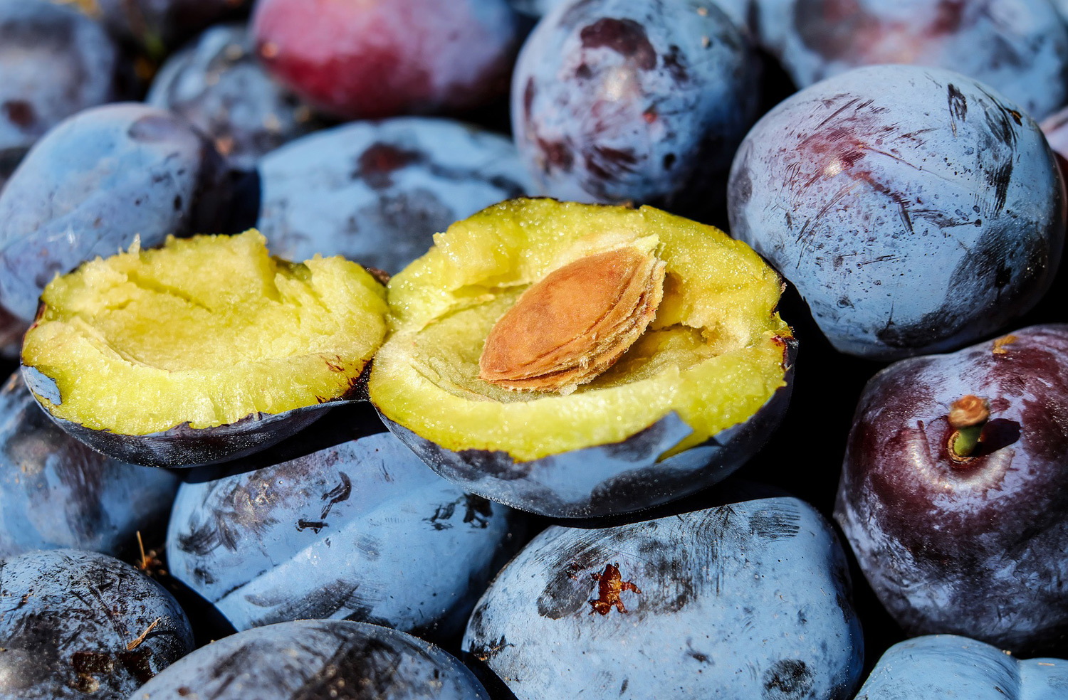 Tasting Vocabulary 101 Stone Fruits 曖昧な薫りを具体的な表現に結びつける Liqul リカル